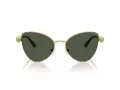 Swarovski Sonnenbrille SK 7034 404G82