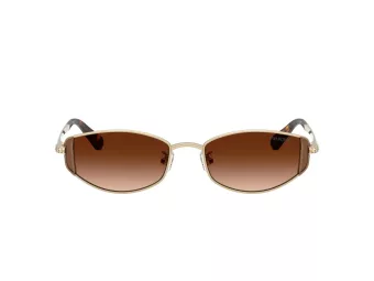 Swarovski Sonnenbrille SK 7035D 401374