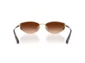 Swarovski Sonnenbrille SK 7035D 401374