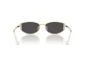 Swarovski Sonnenbrille SK 7035D 401387