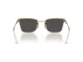 Swarovski Sonnenbrille SK 7036D 401387