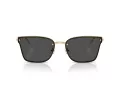 Swarovski Sonnenbrille SK 7036D 401387