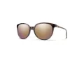 Smith Sonnenbrille SM Cheetah 0T4/9V
