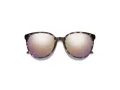 Smith Sonnenbrille SM Cheetah 0T4/9V