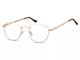 Berkeley Brillen 793C