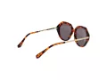 Ted Baker Sonnenbrille TB 1731 188