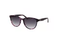 Ted Baker Sonnenbrille TB 1763 702