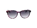 Ted Baker Sonnenbrille TB 1763 702