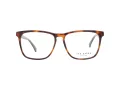 Ted Baker Brillen TB 8208 106