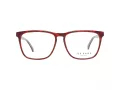 Ted Baker Brillen TB 8208 259