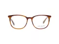Ted Baker Brillen TB 8219 351