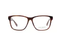 Ted Baker Brillen TB 8232 151