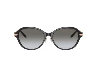 Tiffany Sonnenbrille TF 4188D 80013C