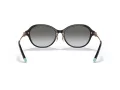 Tiffany Sonnenbrille TF 4188D 80013C