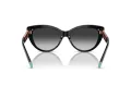Tiffany Sonnenbrille TF 4196 80013C