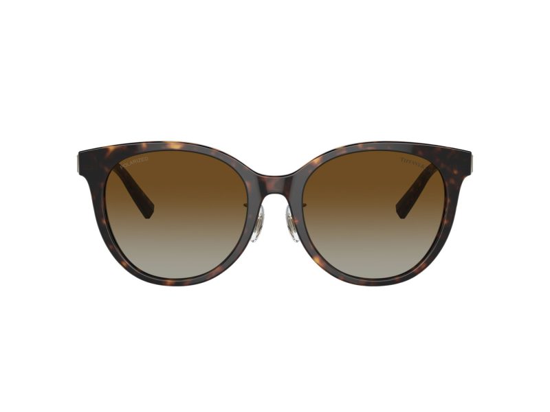 Tiffany Sonnenbrille TF 4209D 8015T5