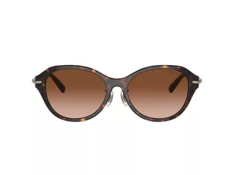 Tiffany Sonnenbrille TF 4210D 80153B