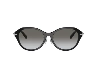 Tiffany Sonnenbrille TF 4210D 82853C