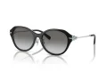 Tiffany Sonnenbrille TF 4210D 82853C