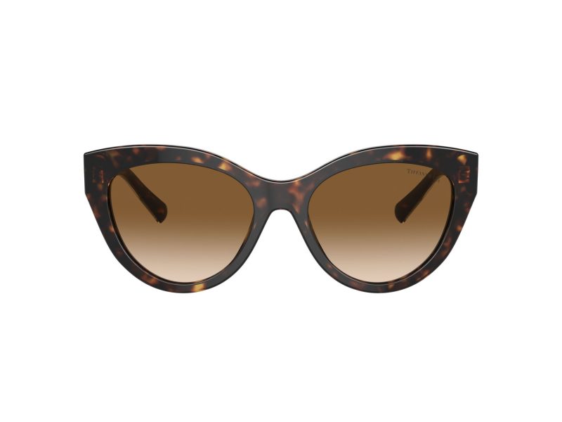 Tiffany Sonnenbrille TF 4220 801551