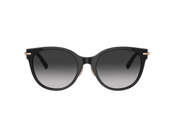 Tiffany Sonnenbrille TF 4223D 80013C