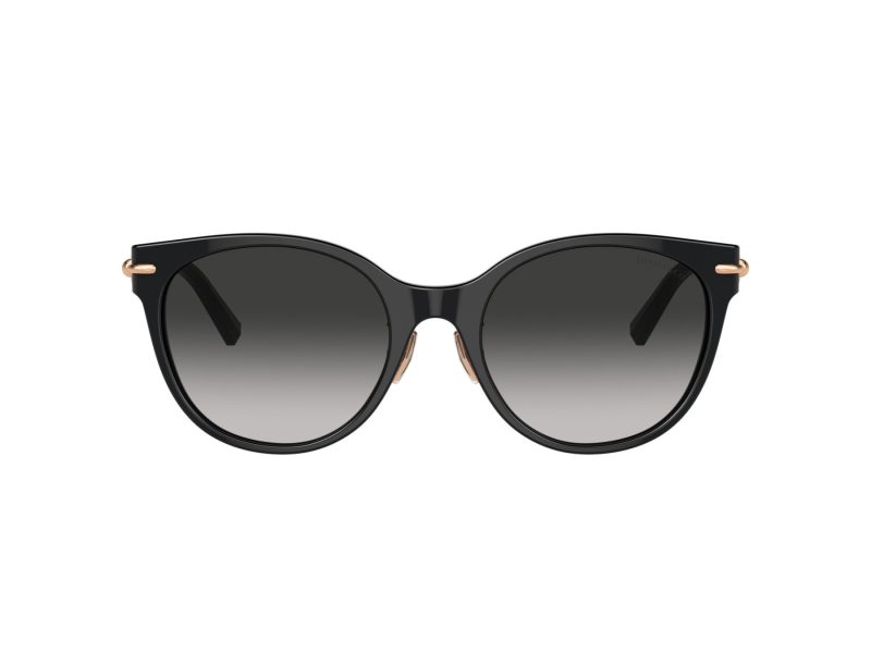 Tiffany Sonnenbrille TF 4223D 80013C