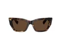 Tiffany Sonnenbrille TF 4230 84213G