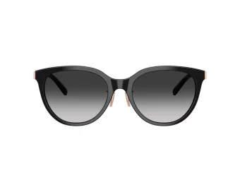Tiffany Sonnenbrille TF 4243D 80013C