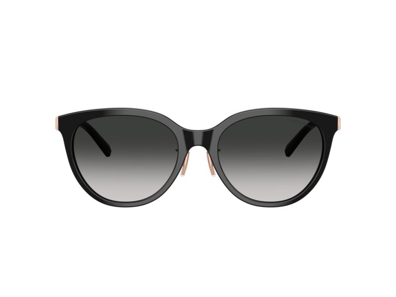 Tiffany Sonnenbrille TF 4243D 80013C