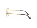 Vogue Brillen VO 4170D 280