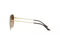 Vogue Sonnenbrille VO 4215SD 280/13