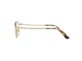 Vogue Brillen VO 4230 5078