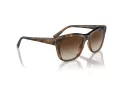 Vogue Sonnenbrille VO 5557S 238613