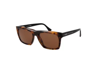 Web Sonnenbrille WE 0350 55E