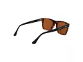 Web Sonnenbrille WE 0350 55E