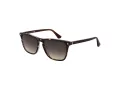 Web Sonnenbrille WE 0363 56B