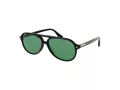 Web Sonnenbrille WE 0368 01N