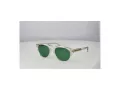 Web Sonnenbrille WE 0372 26N