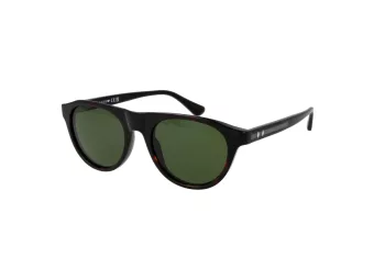 Web Sonnenbrille WE 0377 52N