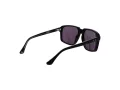 Web Sonnenbrille WE 0378 05A