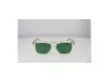 Web Sonnenbrille WE 0382 26N