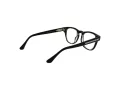 Web Brillen WE 5384 005
