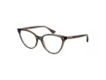 Web Brillen WE 5388 020