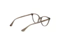 Web Brillen WE 5388 020