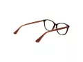 Web Brillen WE 5392 056