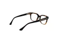 Web Brillen WE 5397 052