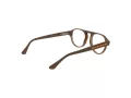 Web Brillen WE 5433 052